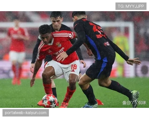 本菲卡双后腰配置复盘：里奥斯巴雷罗防守覆盖面积统计